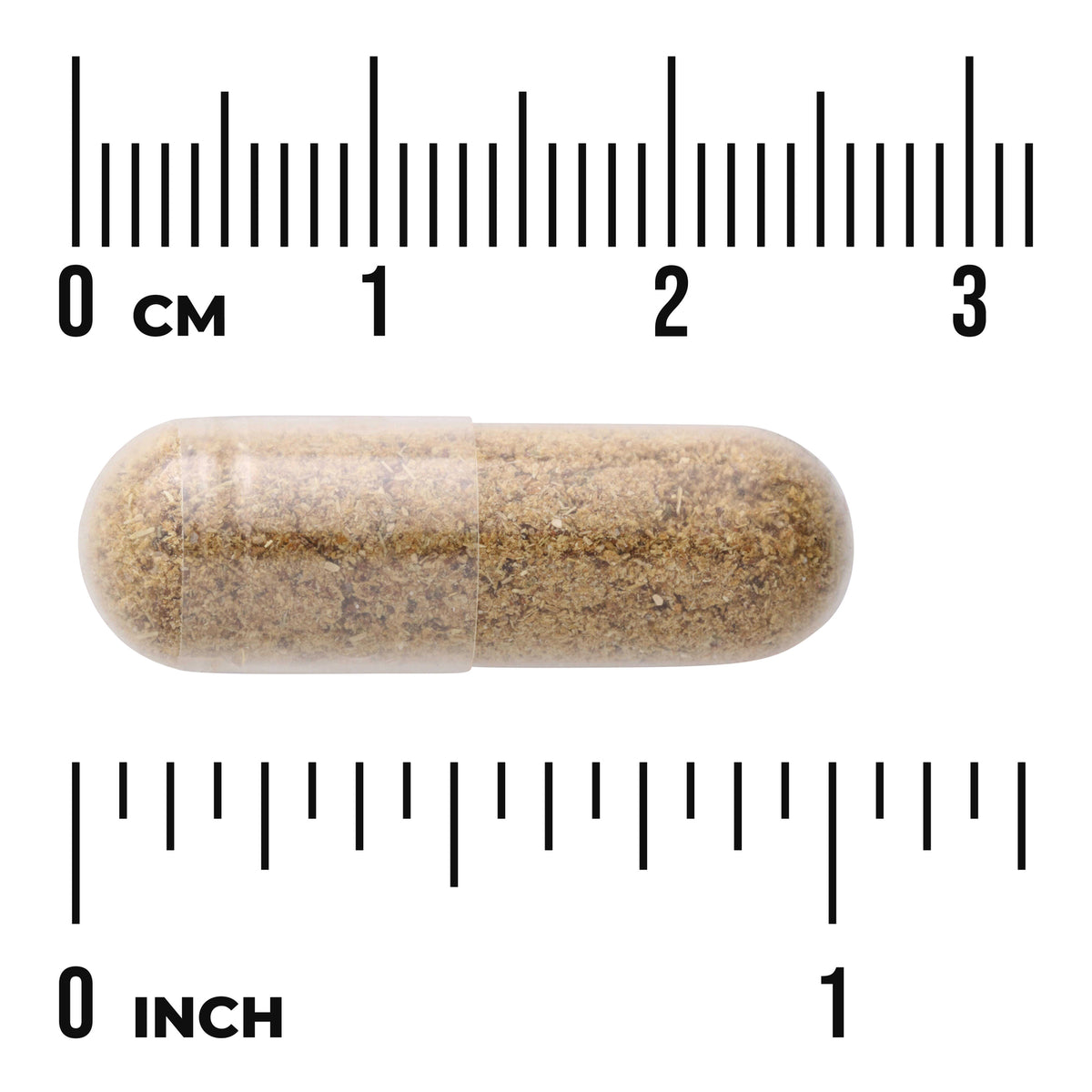 SW1160 | Clear capsule with brown powder shown against cm and inch rulers for size reference