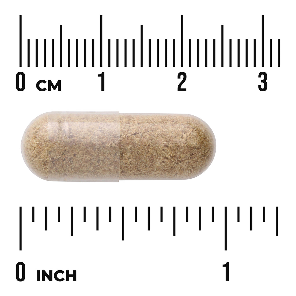 SW976 | Beige capsule shown with size against cm and inch rulers - Thumbnail
