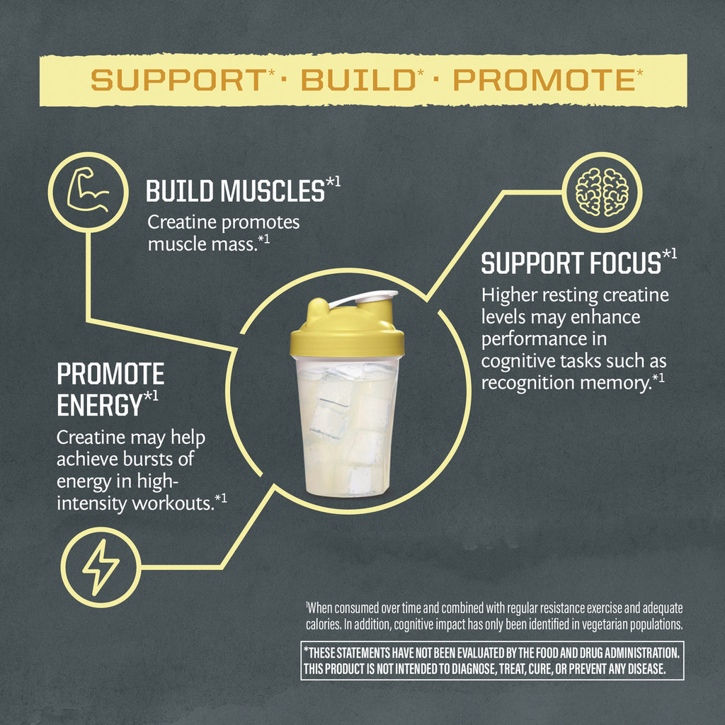 SNW065 | Creatine benefits infographic: Build Muscles, Support Focus, Promote Energy, shaker bottle graphic - Thumbnail