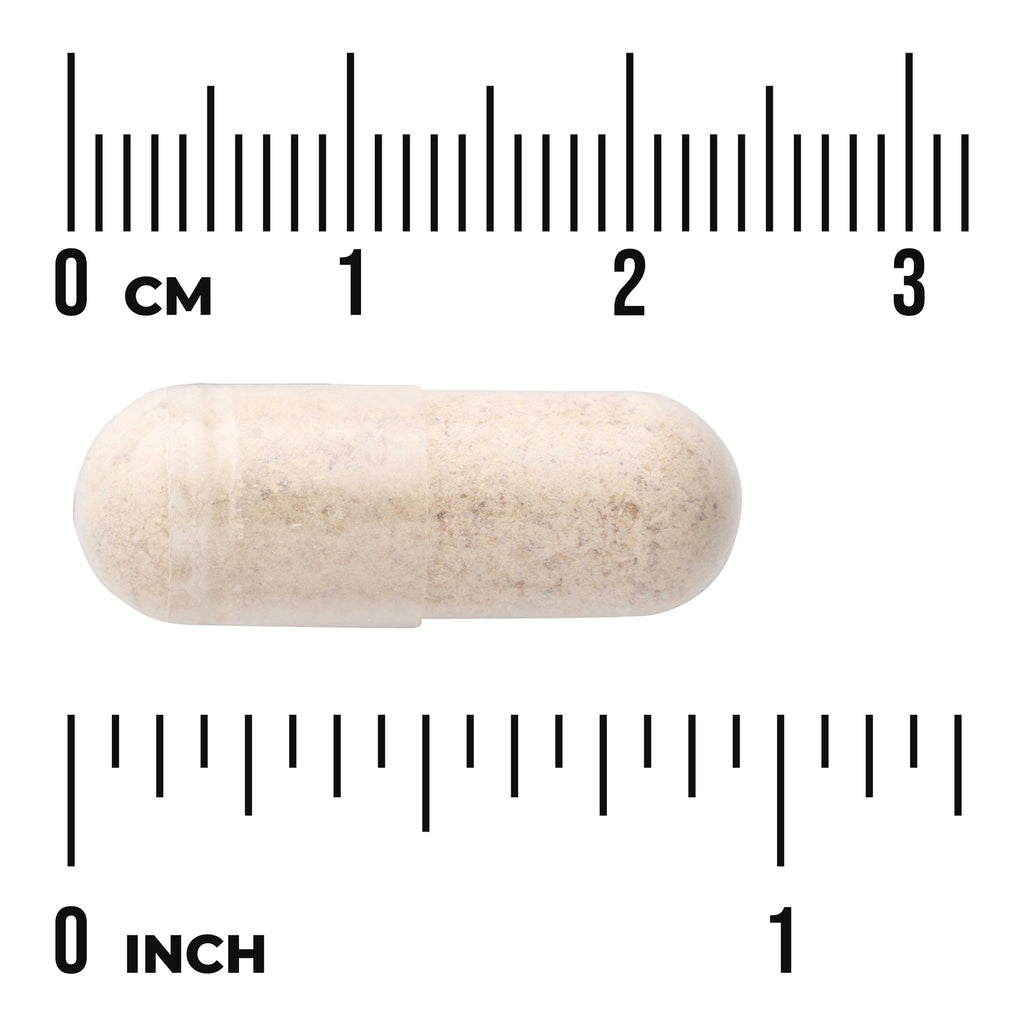 SW1288 | Clear white-beige capsule filled with powder shown against centimeter and inch rulers - Thumbnail