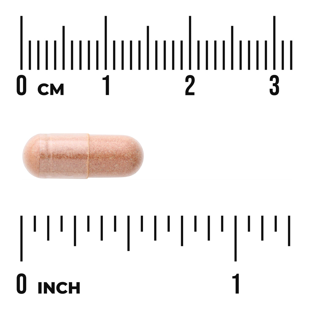 SW612 | Beige capsule with size guide, 03 cm and 01 inch rulers - Thumbnail