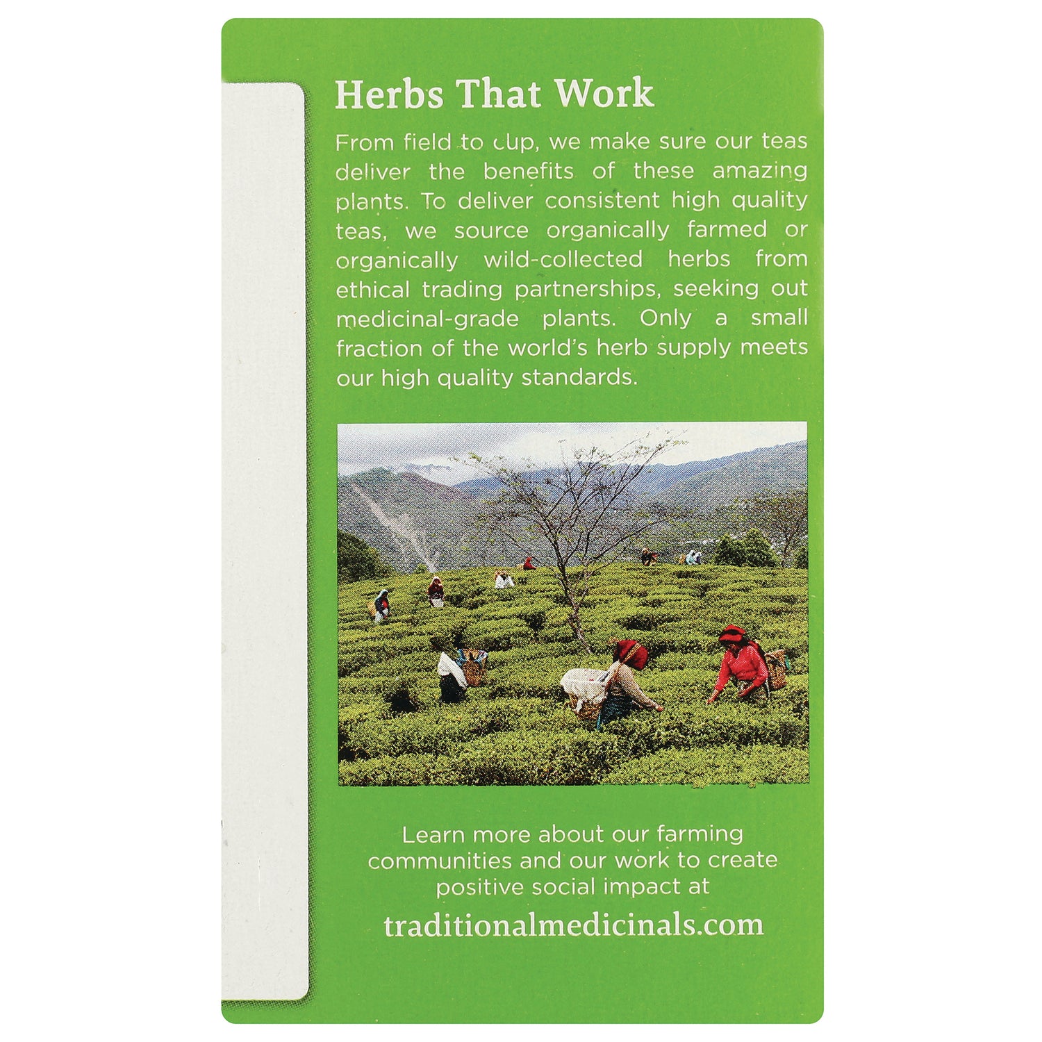 TMD020 | Herbs That Work sourcing message with tea harvest photo; learn more at traditionalmedicinals.com