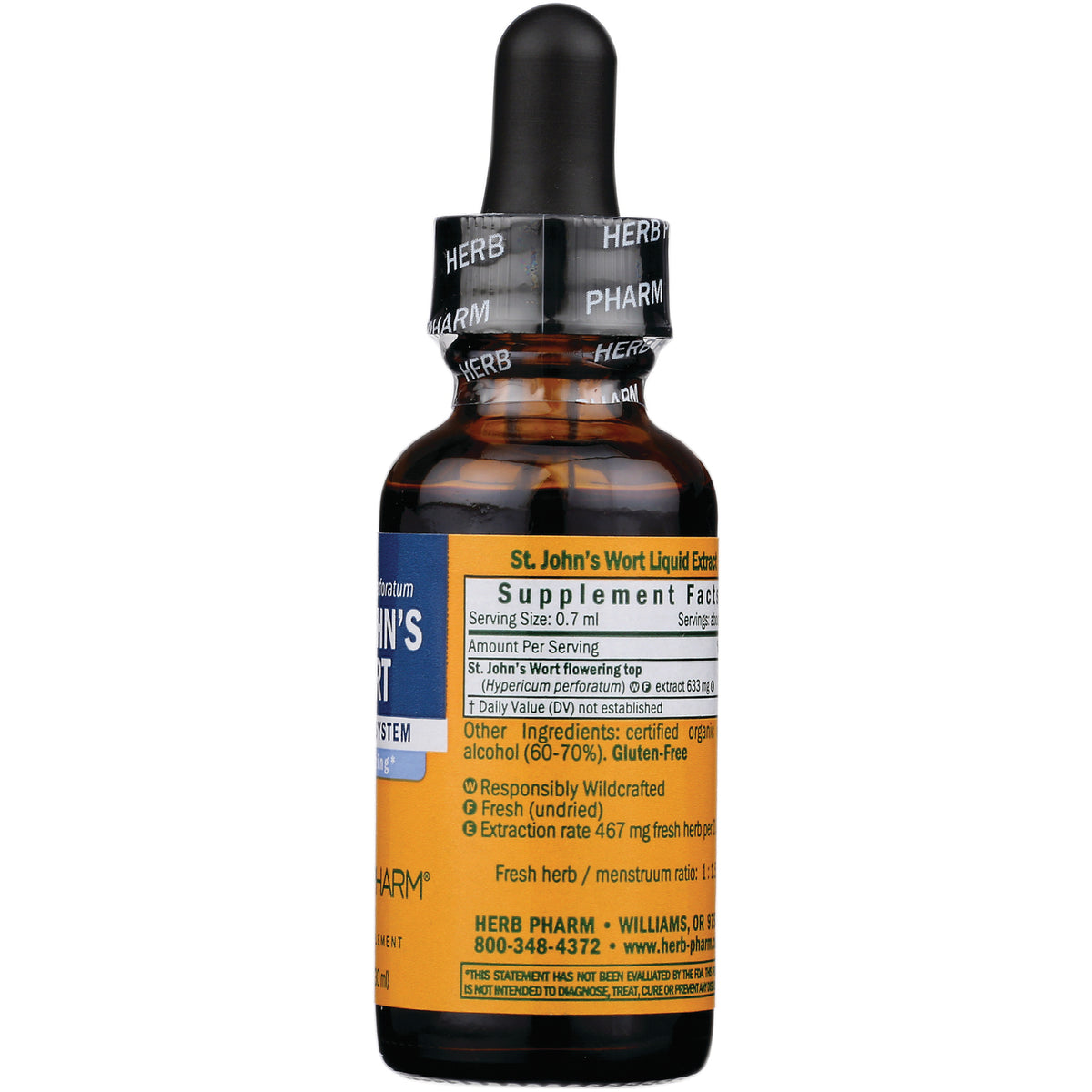 HPH031 | back of amber dropper bottle showing Supplement Facts and Other Ingredients label for St. John's Wort liquid extract