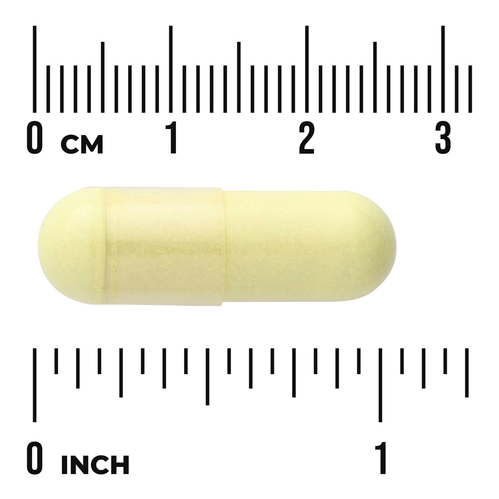 Ultimate Respiratory Defense with NAC and Quercetin - Thumbnail