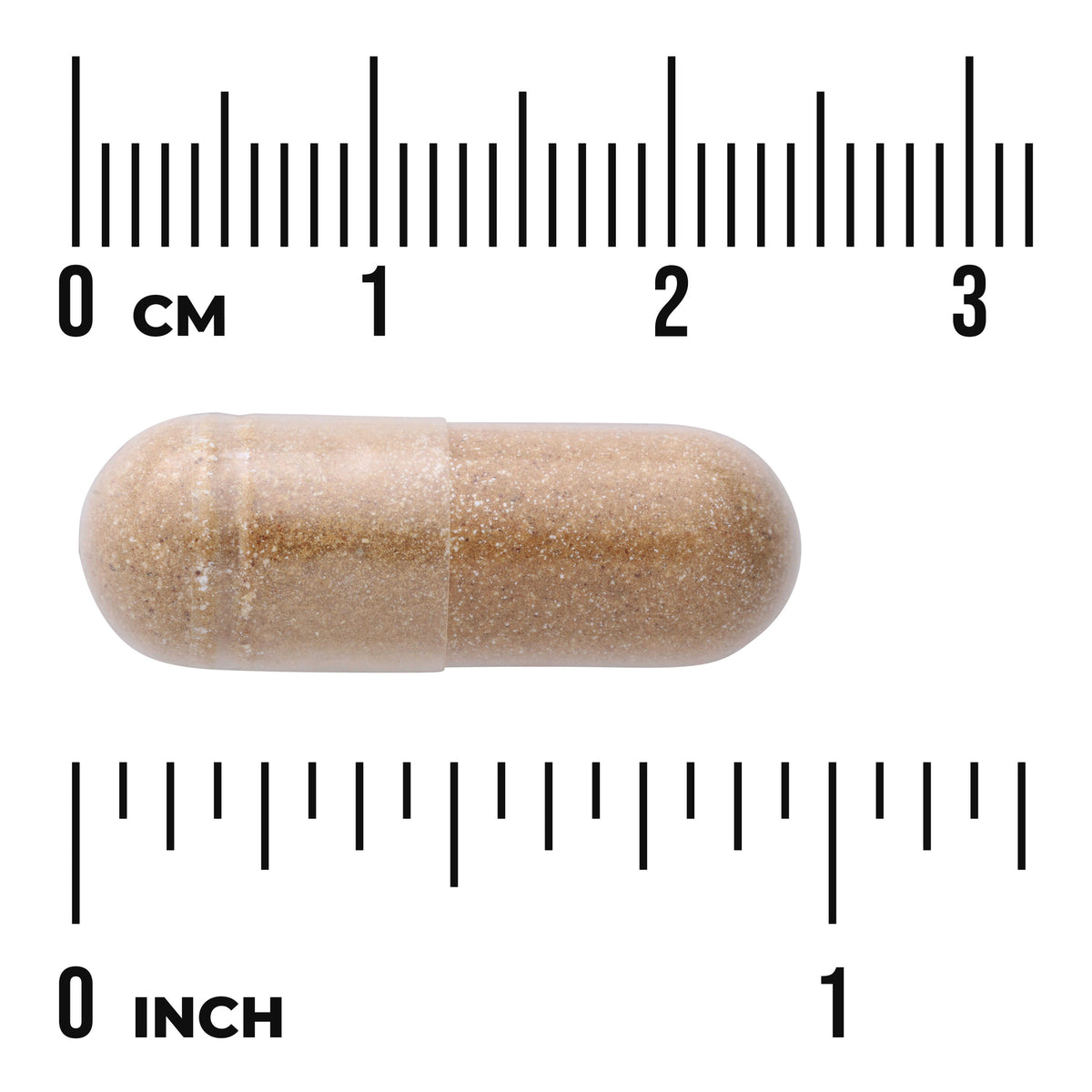 SWH122 | Brown granular supplement capsule beside centimeter and inch rulers showing approximate size