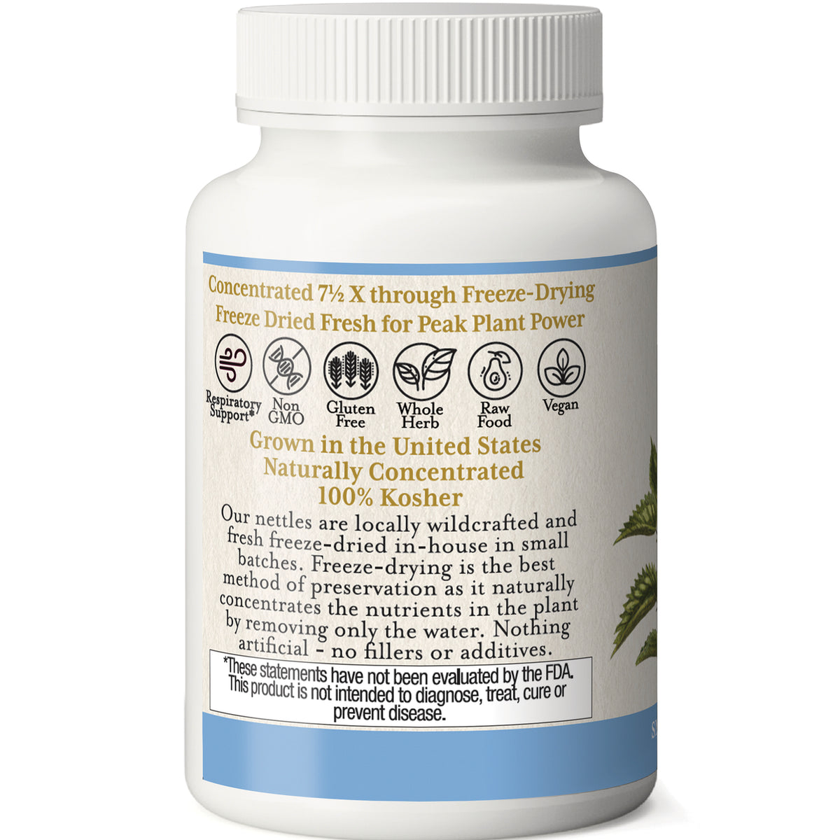 EC001 | Back label of white supplement bottle showing freeze-dried nettles, icons for Non GMO, gluten free, vegan, 100% Kosher and product description