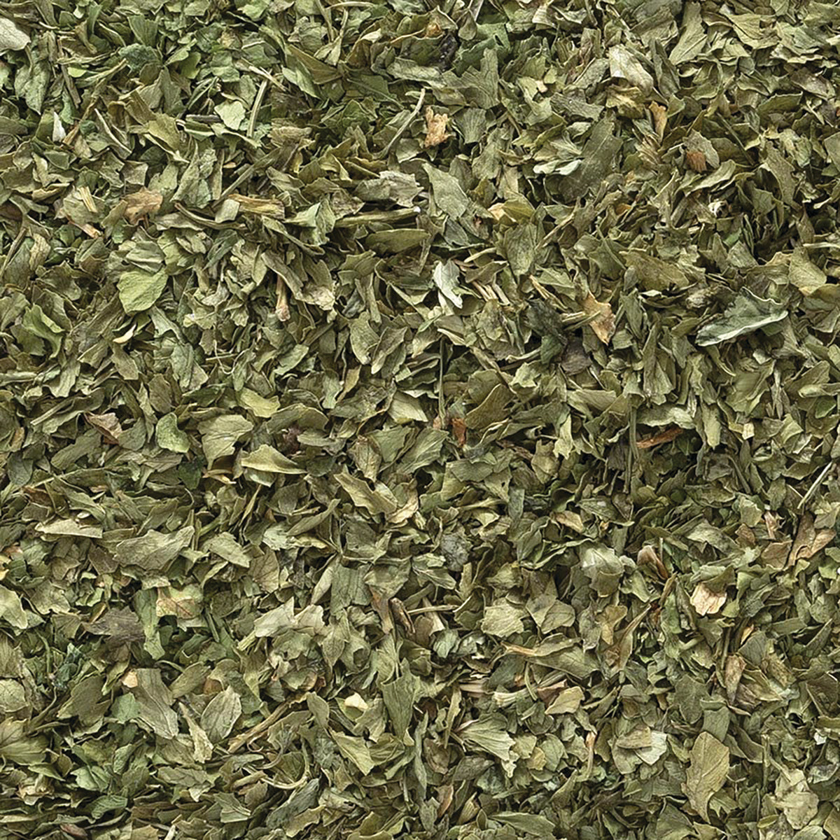 FNP073 | close-up of dried green herb flakes showing loose leaf form