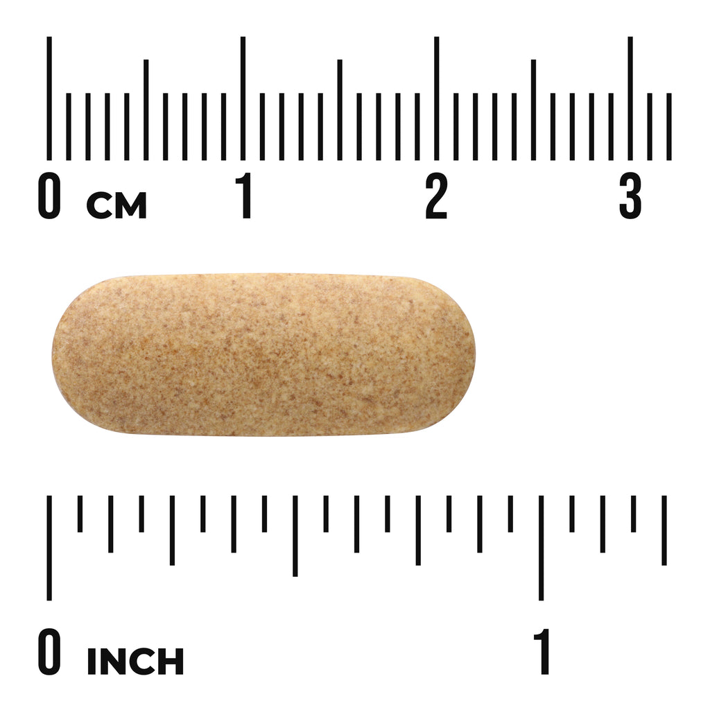 SW090 | Oblong beige tablet photographed with centimeter and inch rulers to show size - Thumbnail