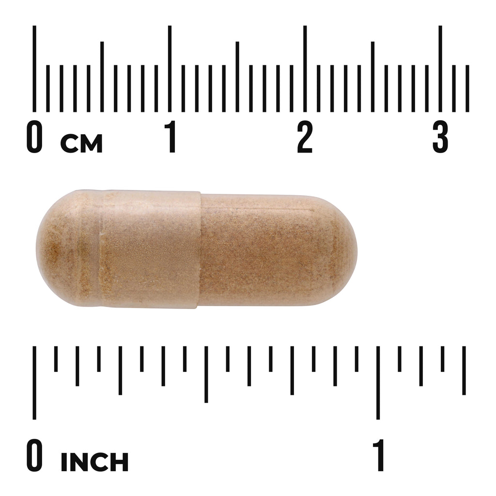 SWH231 | Brown capsule with size guide showing 03 cm and 01 inch markers - Thumbnail