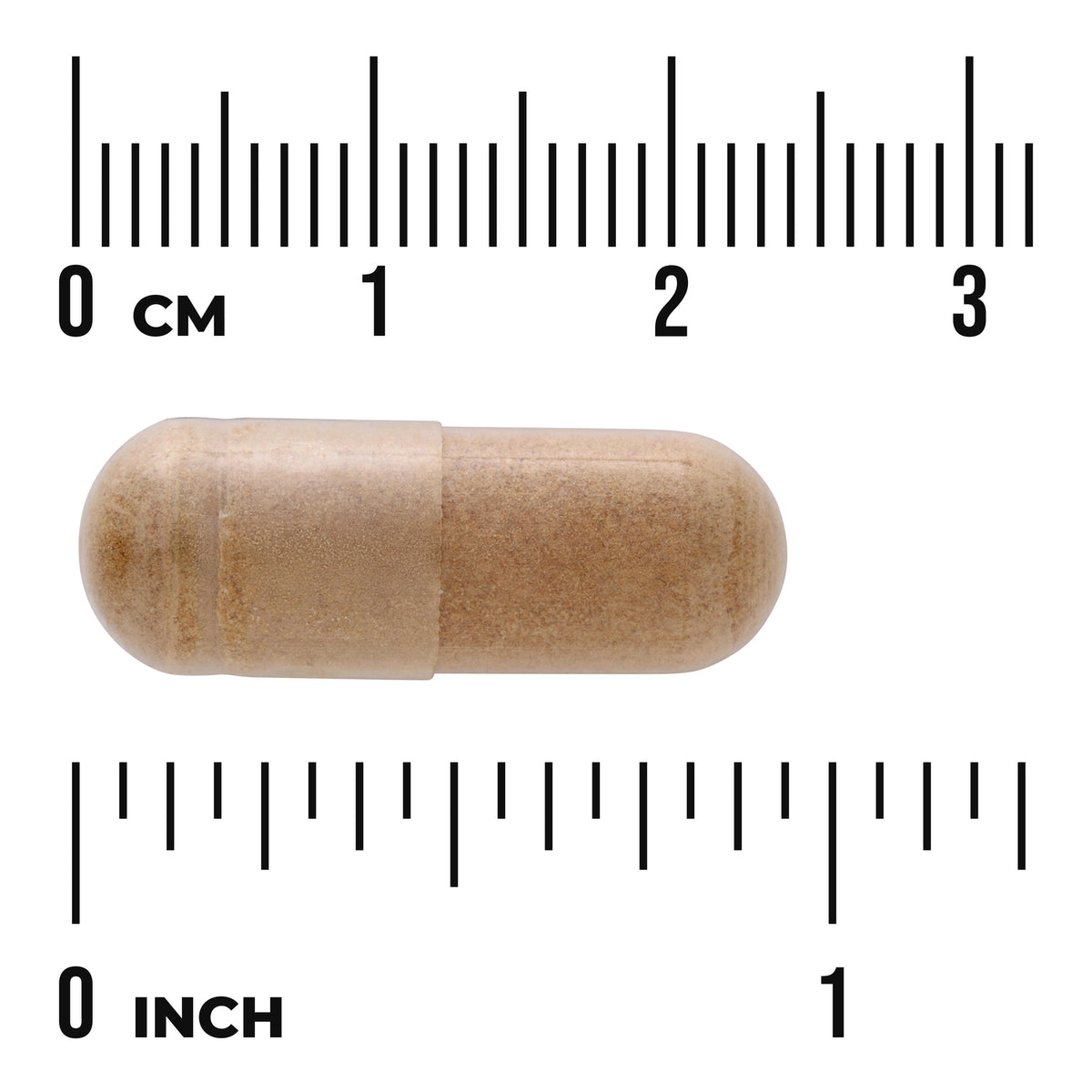 SWH231 | Brown capsule with size guide showing 03 cm and 01 inch markers
