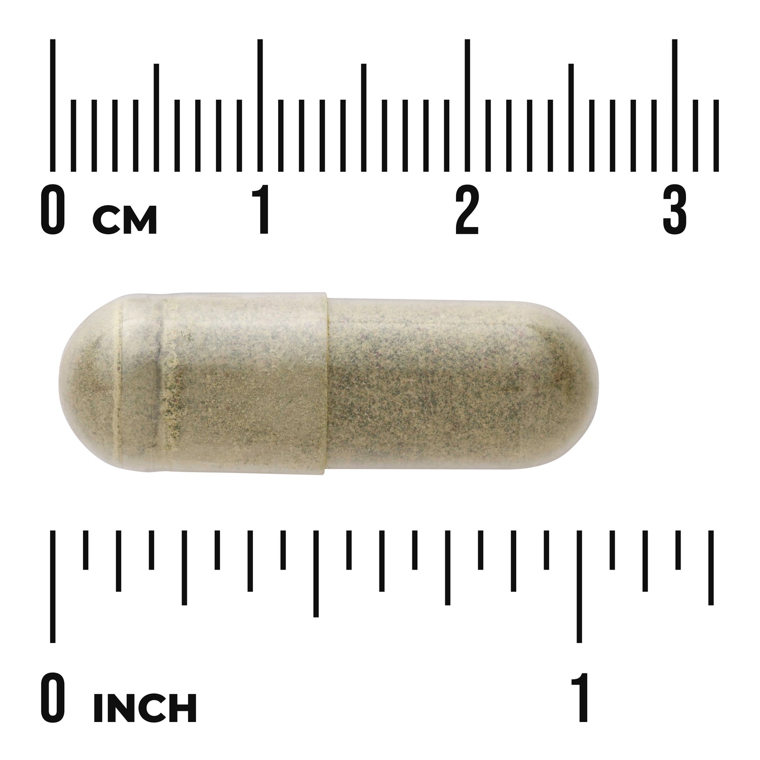 SWR029 | Capsule size shown against ruler with 0 cm and 0 inch markings