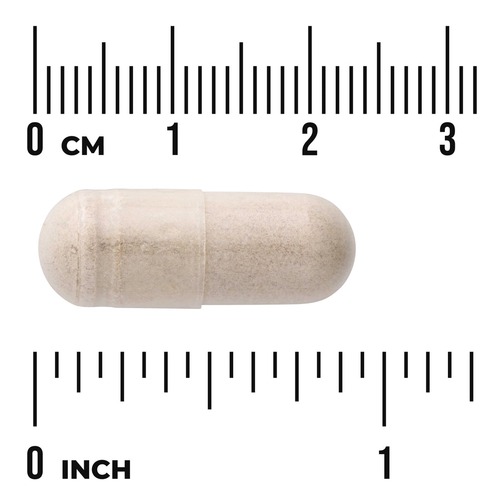SW944 | Beige capsule shown with rulers in centimeters and inches - Thumbnail