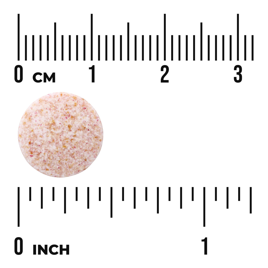 SWU1024 | Round speckled tablet shown against inch and centimeter rulers - Thumbnail