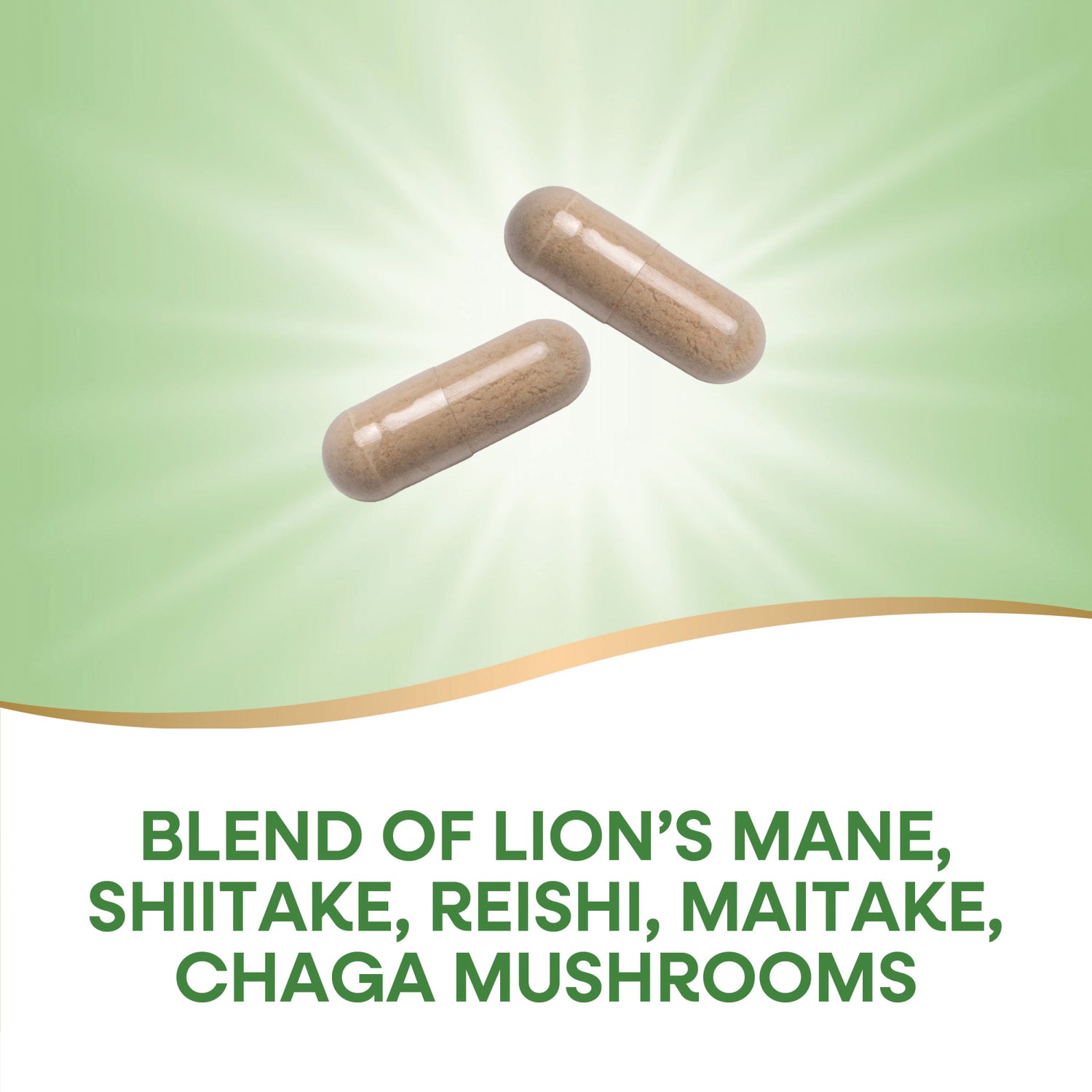 NW1073 | Two beige capsules on green background with text BLEND OF LION'S MANE, SHIITAKE, REISHI, MAITAKE, CHAGA