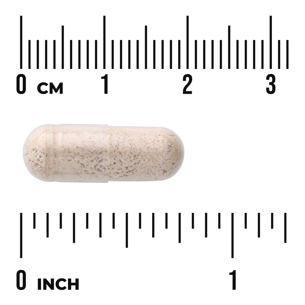 SW1305 | Beige speckled supplement capsule beside centimeter and inch scales showing size - Thumbnail
