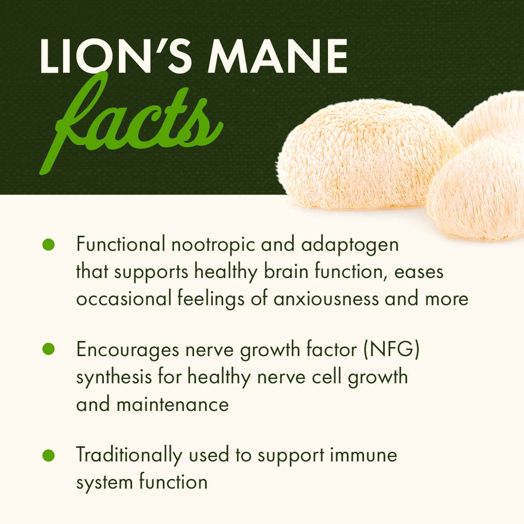 SW1945 | LION'S MANE facts Functional nootropic and adaptogen that supports healthy brain function, eases occasional feelings of anxiousness and more - Thumbnail