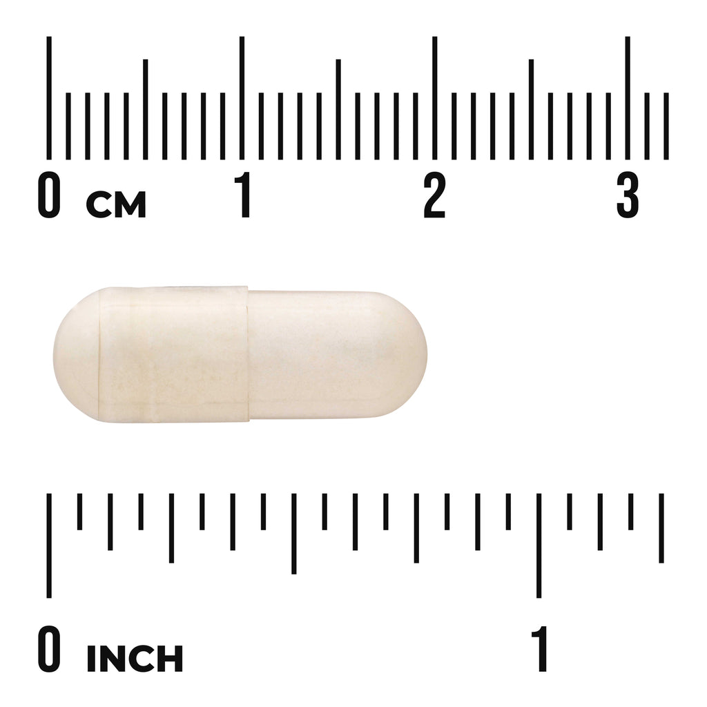 SW021 | White capsule on centimeter and inch rulers showing about 2.5 cm (1 inch); visible text "0 CM" and "0 INCH" - Thumbnail