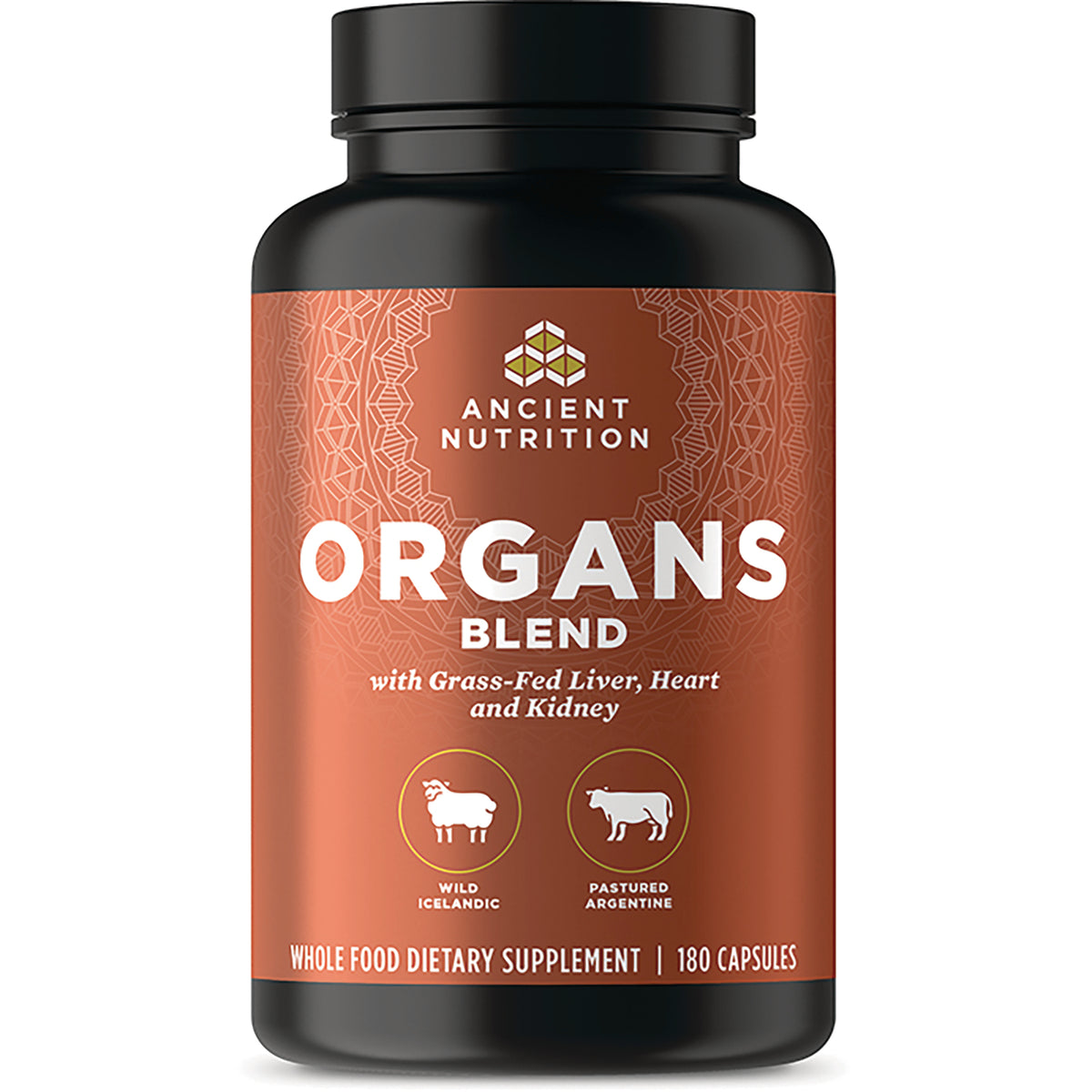 ATN099 | Ancient Nutrition bottle labeled ORGANS BLEND with Grass-Fed Liver, Heart and Kidney, 180 capsules