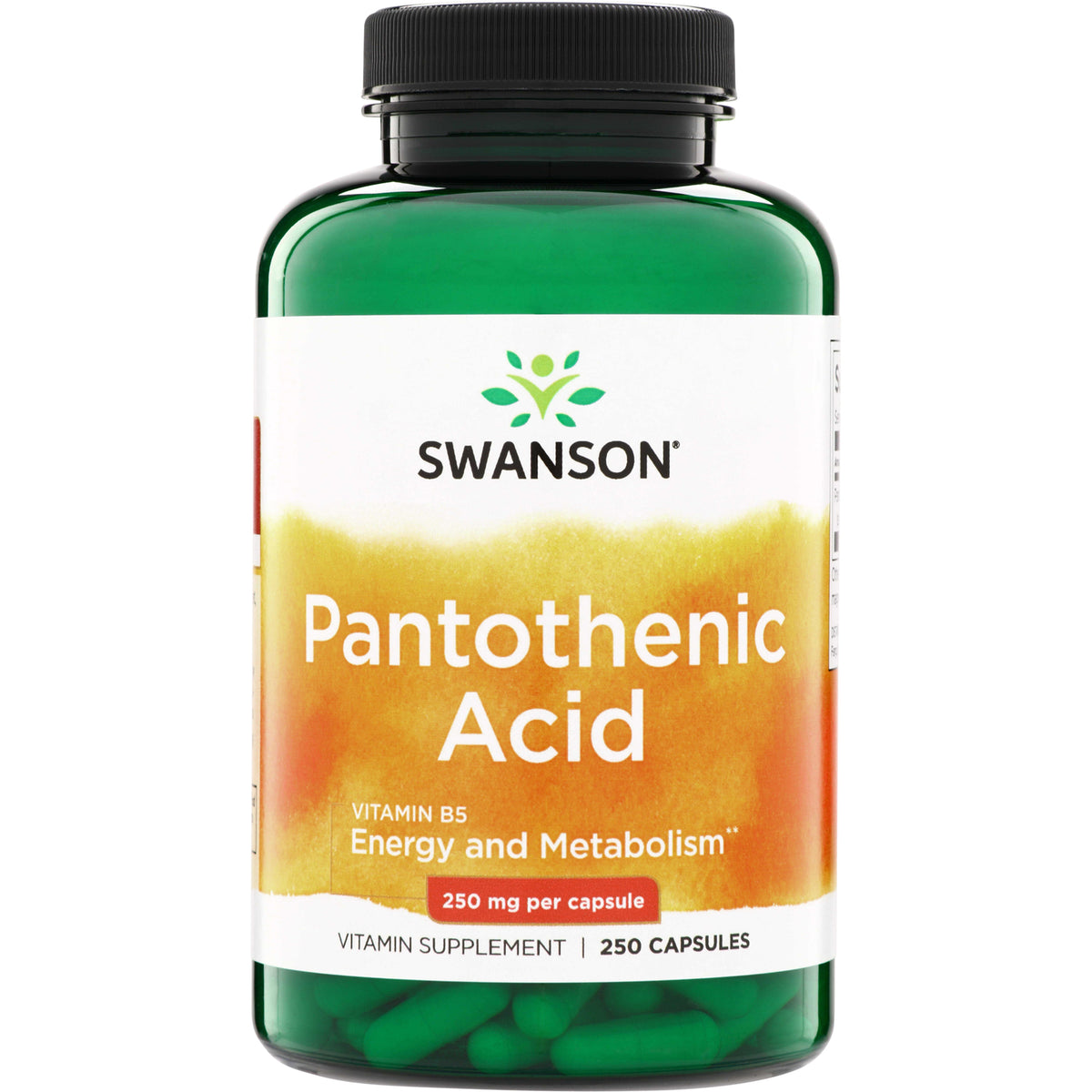 SW062 | Swanson Pantothenic Acid Vitamin B5, 250 mg per capsule, 250 capsules bottle front