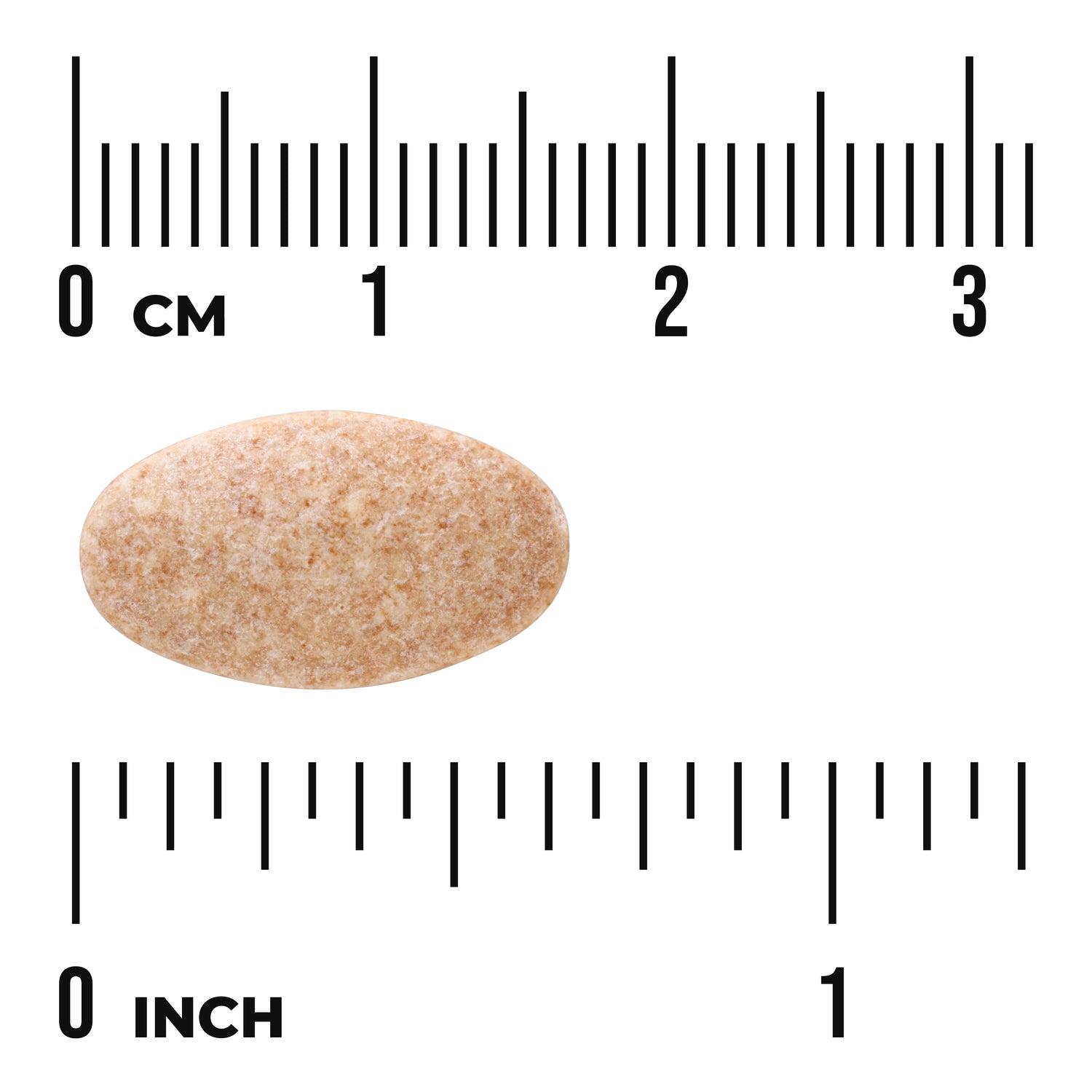 SW094 | Beige speckled oval tablet between rulers showing 03 cm and 01 inch with visible text 'cm' and 'inch'