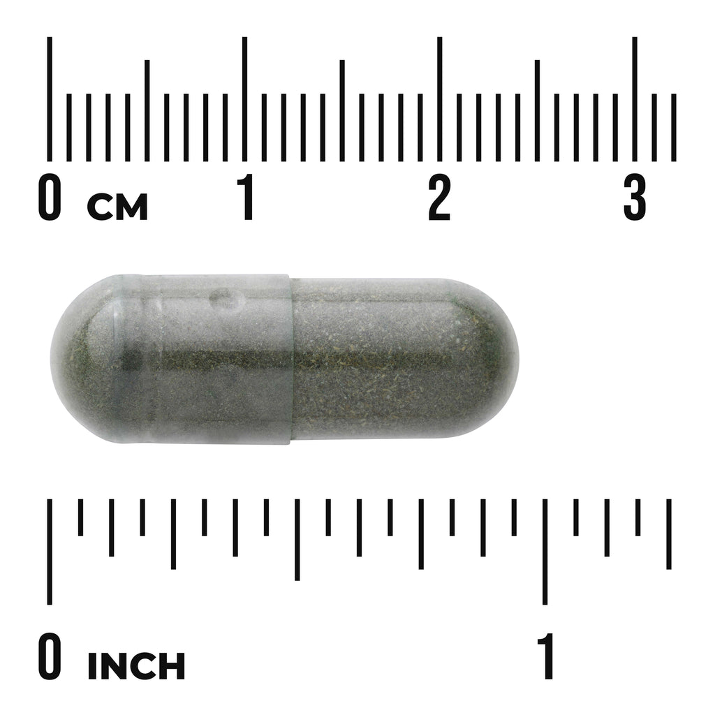 SWR020 | Gray capsule with powder, shown next to cm and inch rulers for size reference - Thumbnail