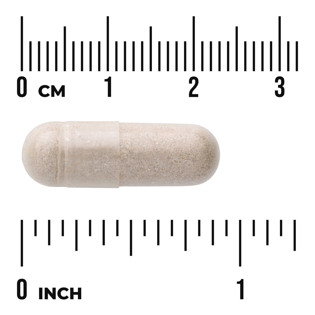 SWC028 | Beige capsule with size reference, rulers marked 03 cm and 01 inch - Thumbnail