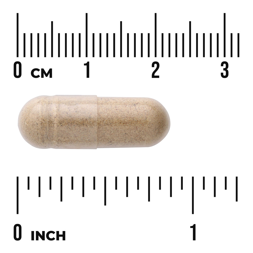 SWC087 | Beige capsule shown with size ruler in centimeters and inches - Thumbnail