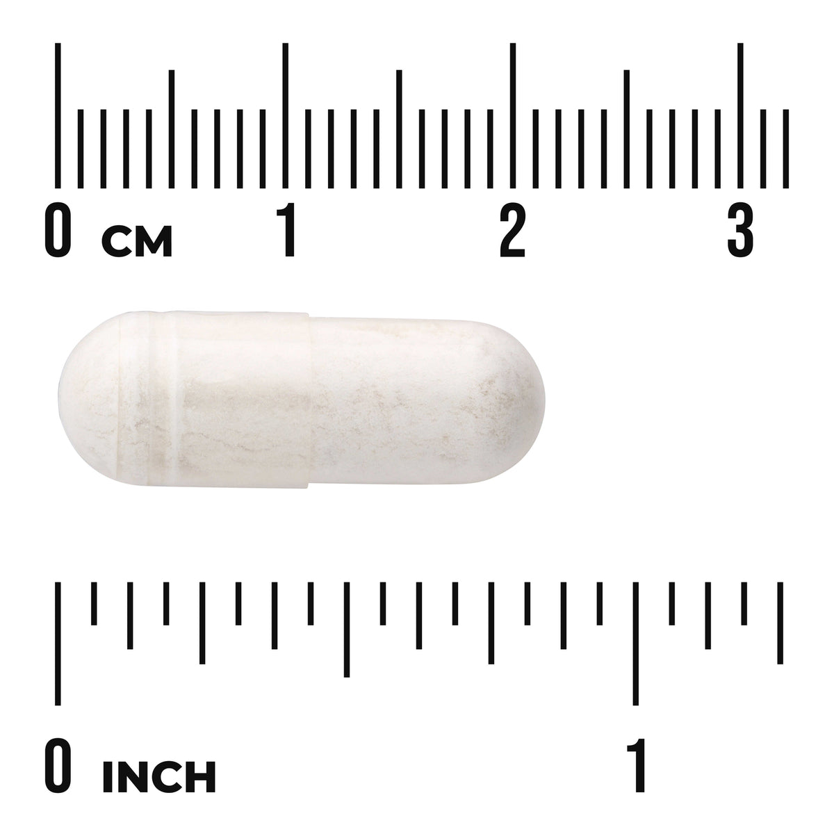 SW988 | White capsule shown with cm and inch rulers for size
