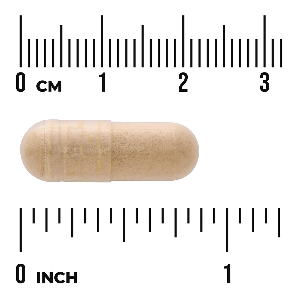 SWP011 | Tan capsule with size reference against cm and inch rulers - Thumbnail