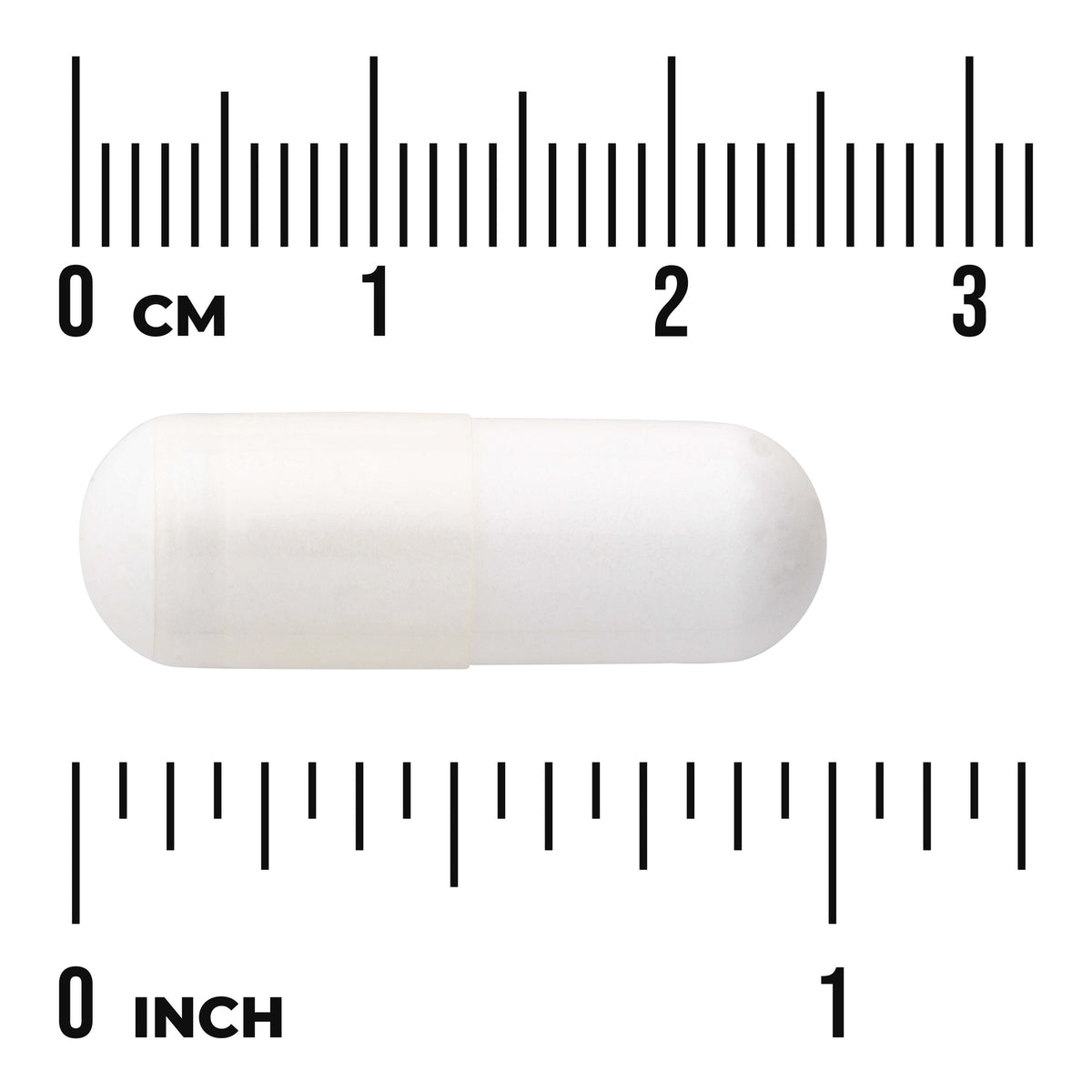 SW1195 | White capsule shown with centimeter and inch rulers for size reference