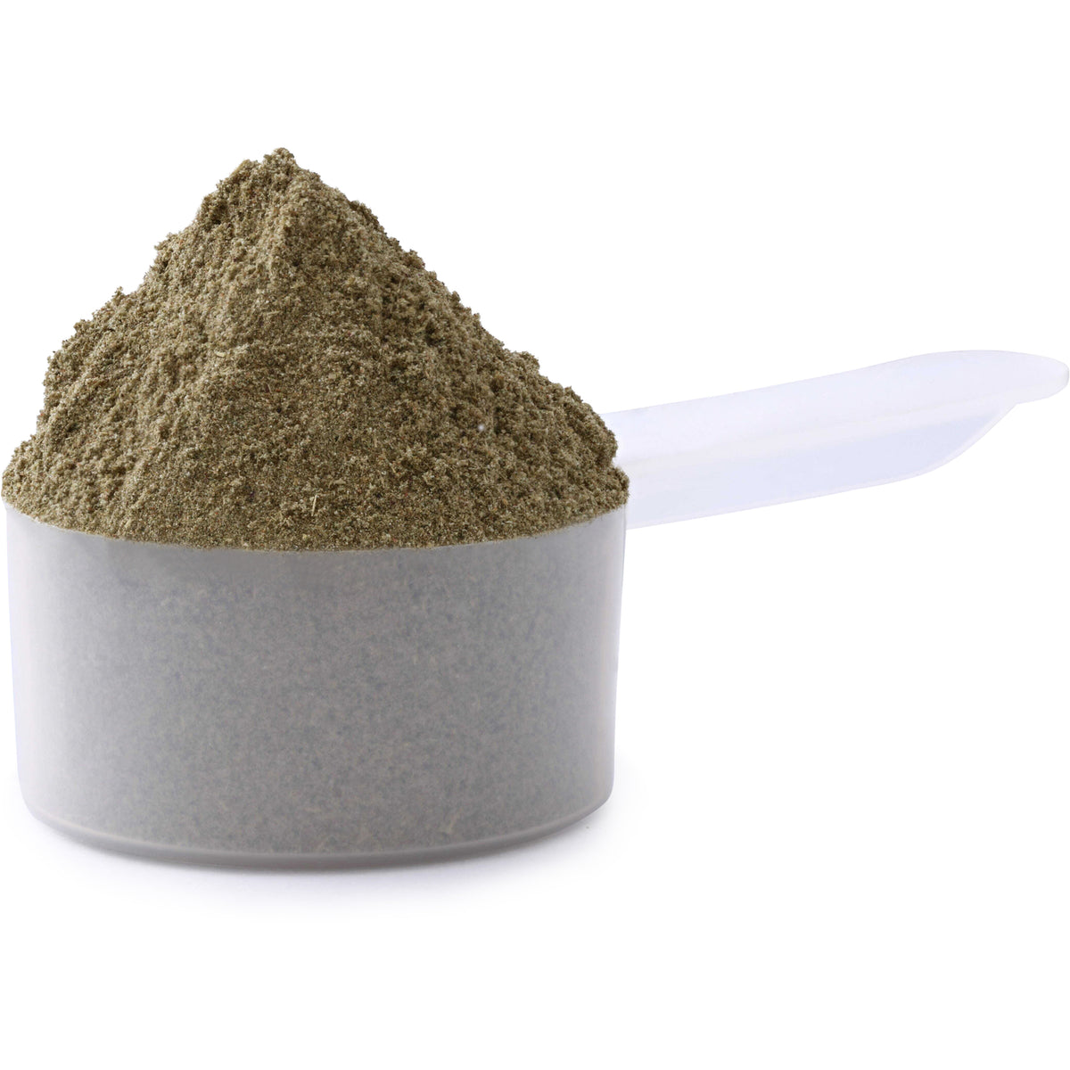 SWB006 | Scoop of green-brown powder in a clear measuring scoop