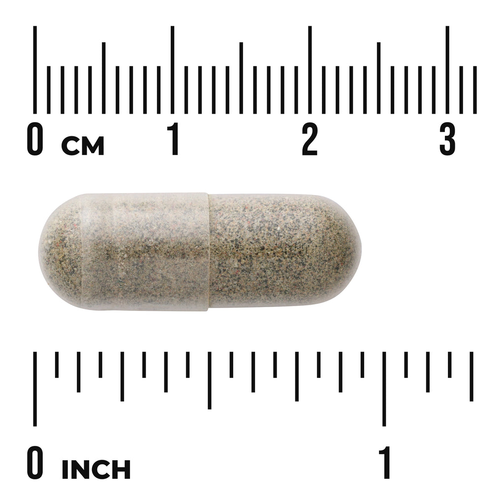SWR068 | Capsule form shown against rulers in centimeters and inches for size reference - Thumbnail