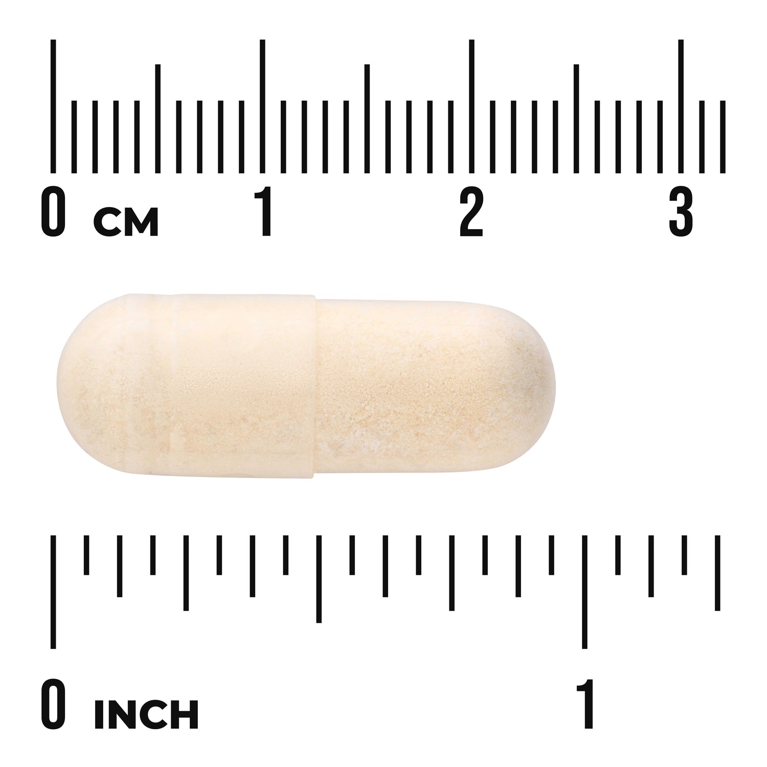 SW1669 | Beige capsule shown with ruler in centimeters and inches for size reference