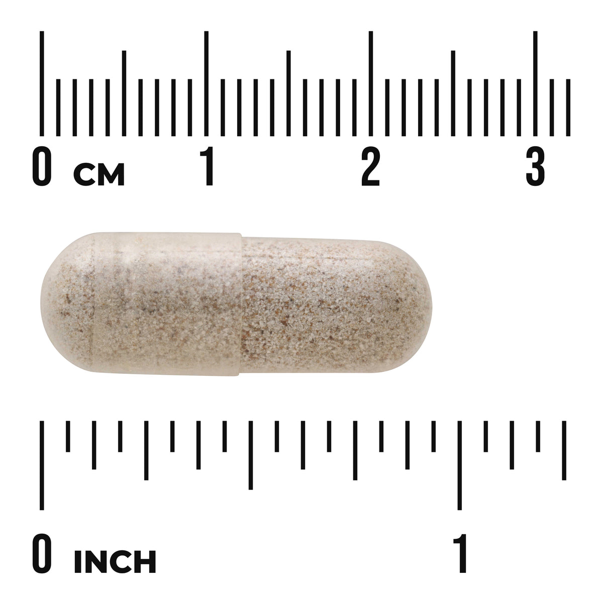 SW875 | Beige capsule with cm and inch rulers for size reference