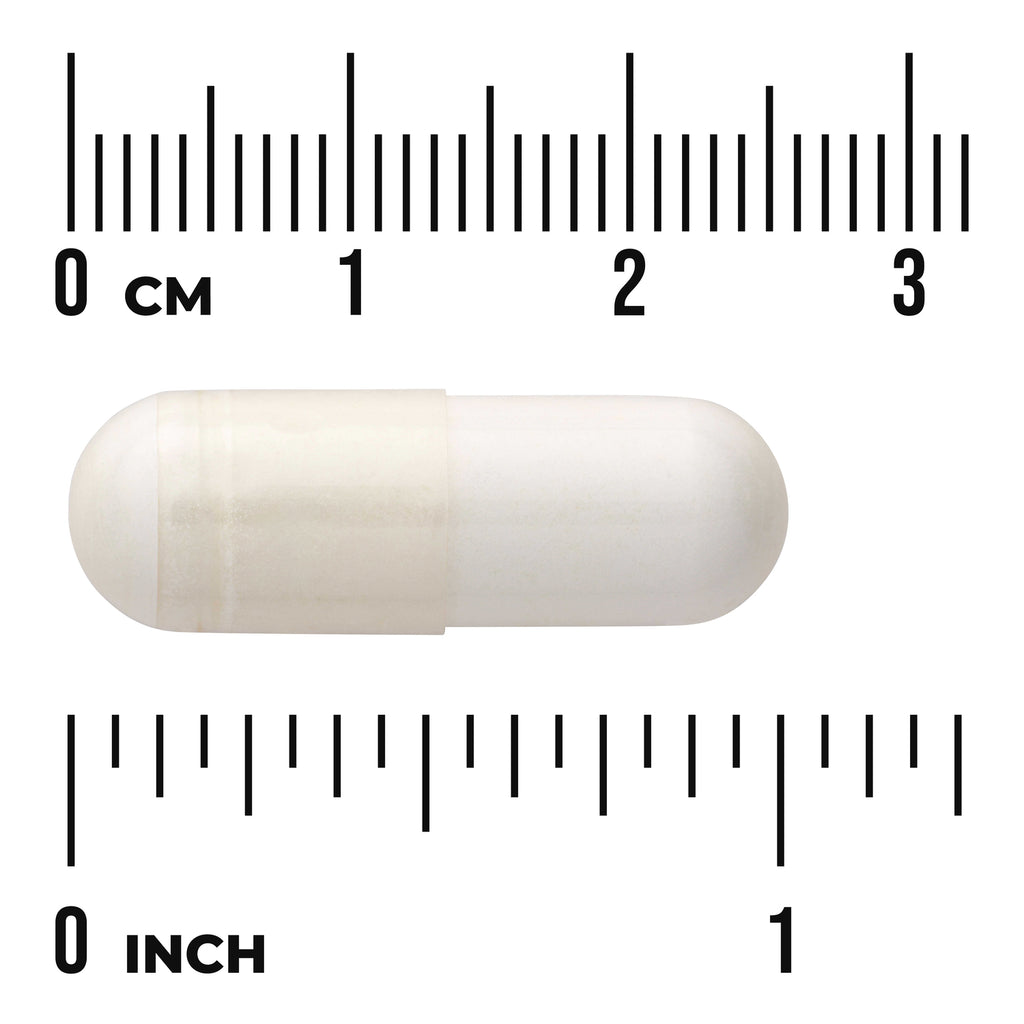 SW659 | White capsule shown with centimeter and inch ruler for size reference - Thumbnail