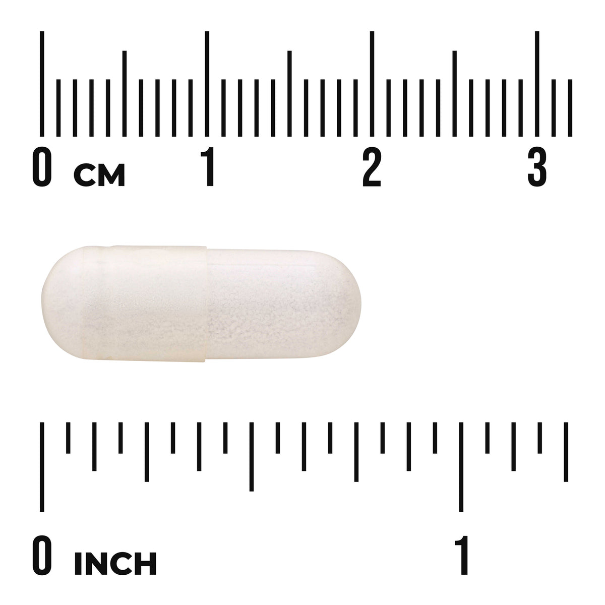 SWU211 | white capsule on centimeter and inch rulers showing size