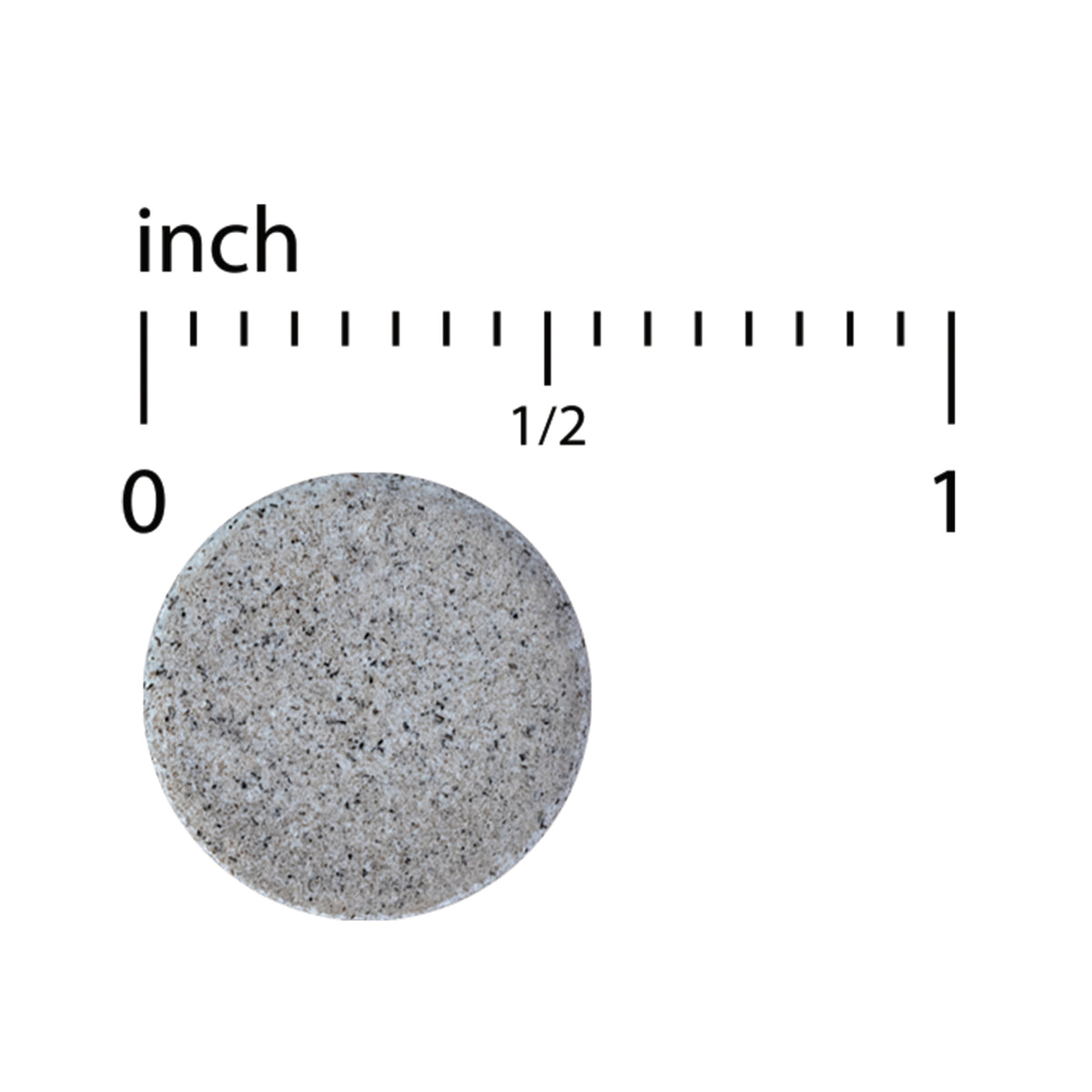 EUR066 | round gray speckled tablet next to inch scale showing diameter about 1 inch