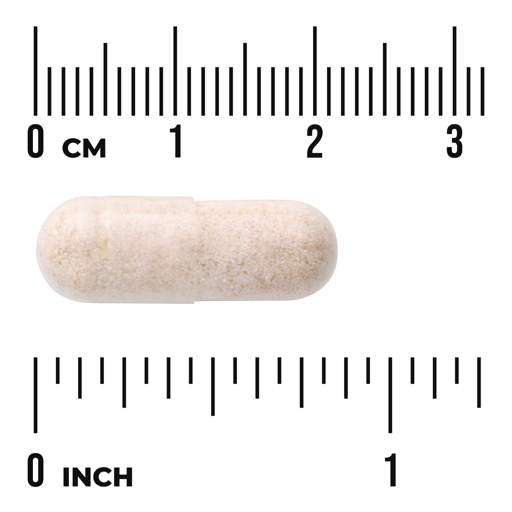 SWK011 | Beige capsule with centimeter and inch rulers showing size - Thumbnail
