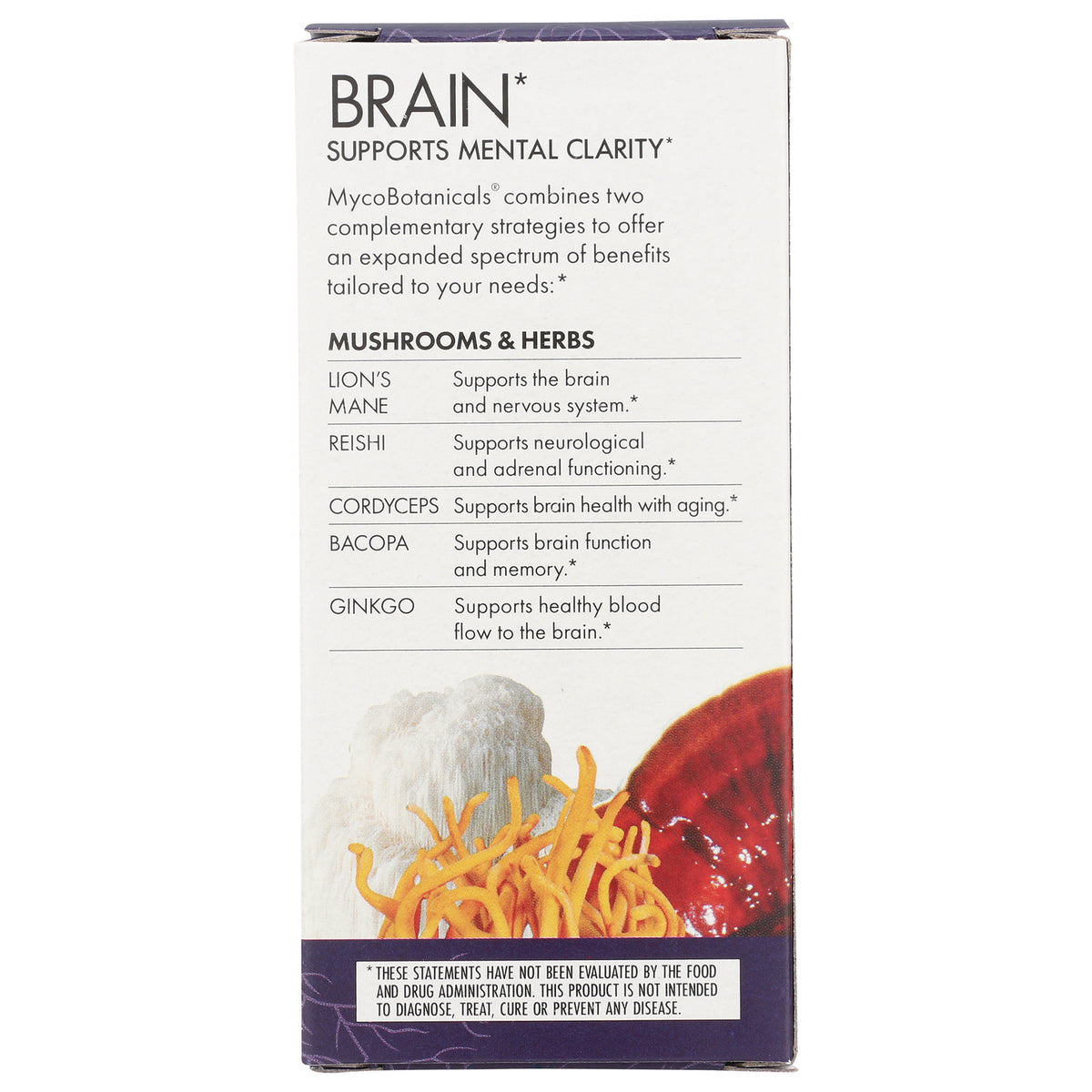 FUN024 | back of supplement box labeled BRAIN supports mental clarity listing mushrooms and herbs with brief benefits