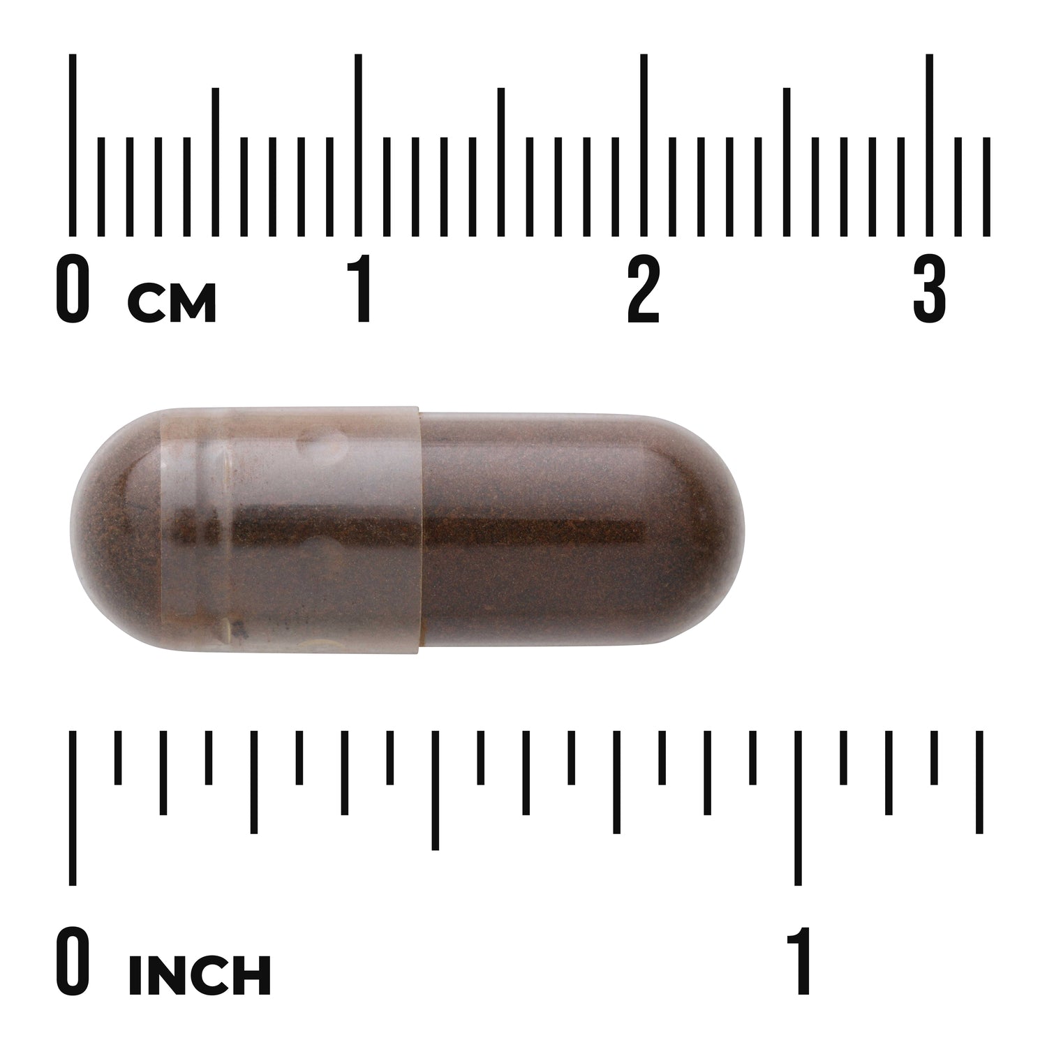 SWK014 | Dark brown capsule shown against cm and inch rulers