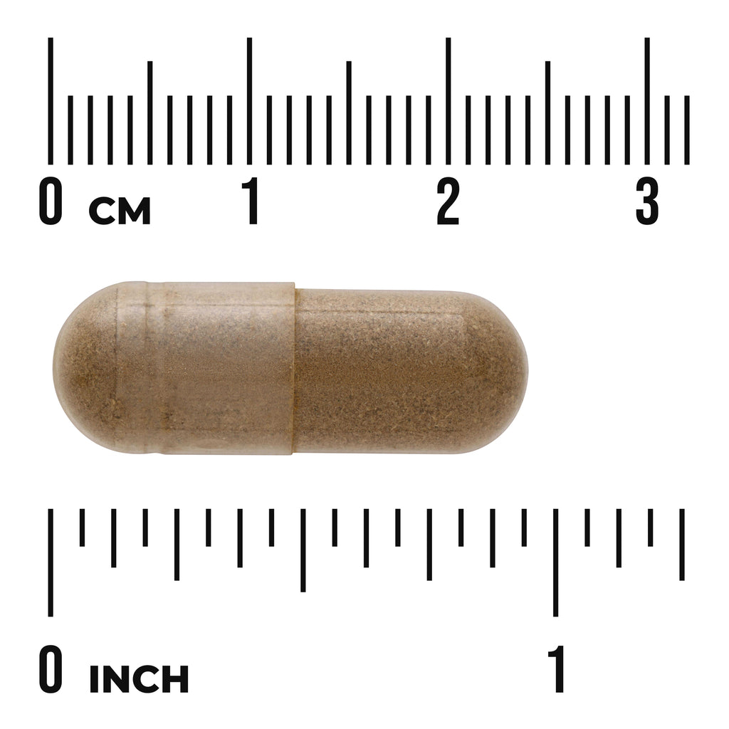 Full Spectrum Holy Basil Leaf - Thumbnail