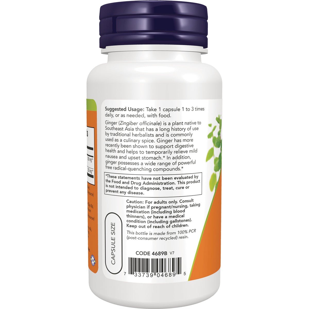 NWF542 | Back label of white supplement bottle showing suggested usage, caution text, capsule size and barcode