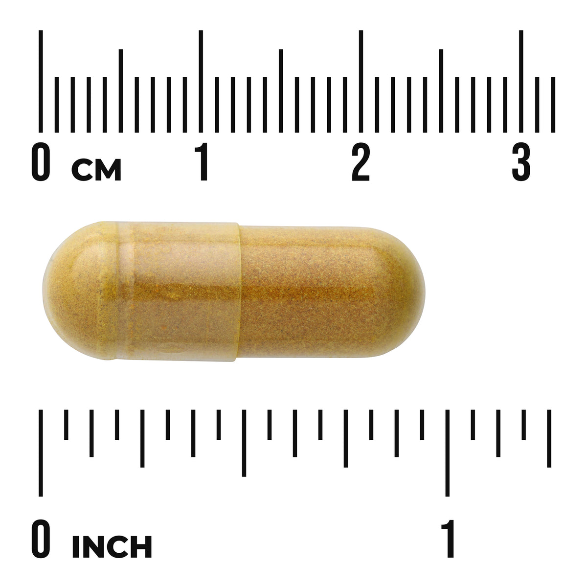 SW1877 | Tan capsule shown with cm and inch rulers for size reference
