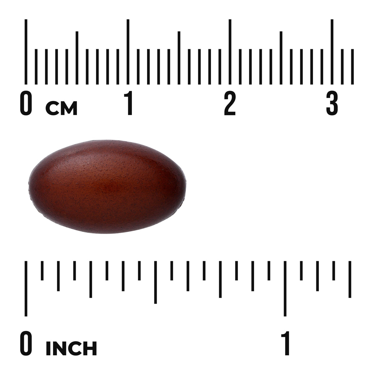 SWU937 | Brown oval softgel shown with centimeter and inch rulers for size