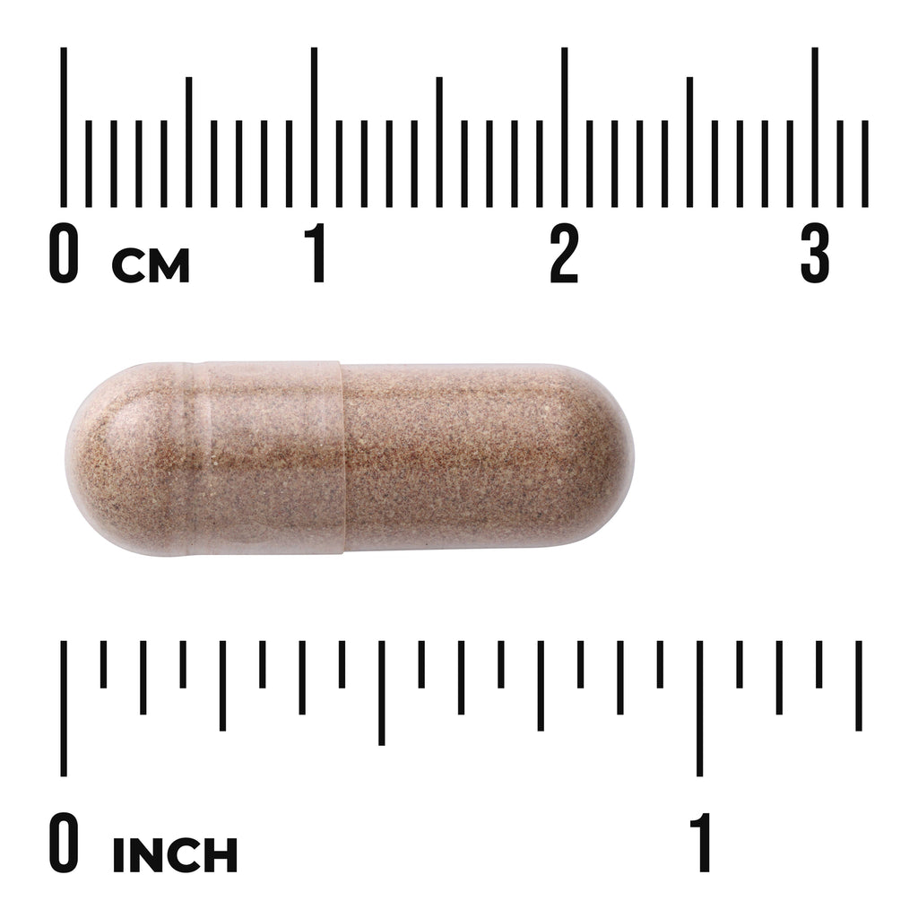 SW910 | Brown capsule with size reference using centimeter and inch rulers - Thumbnail