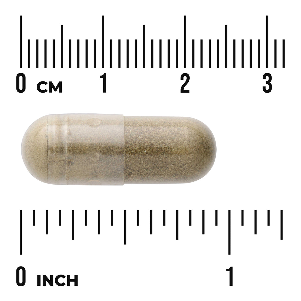 SWR054 | Capsule with brown powder shown against cm and inch ruler - Thumbnail