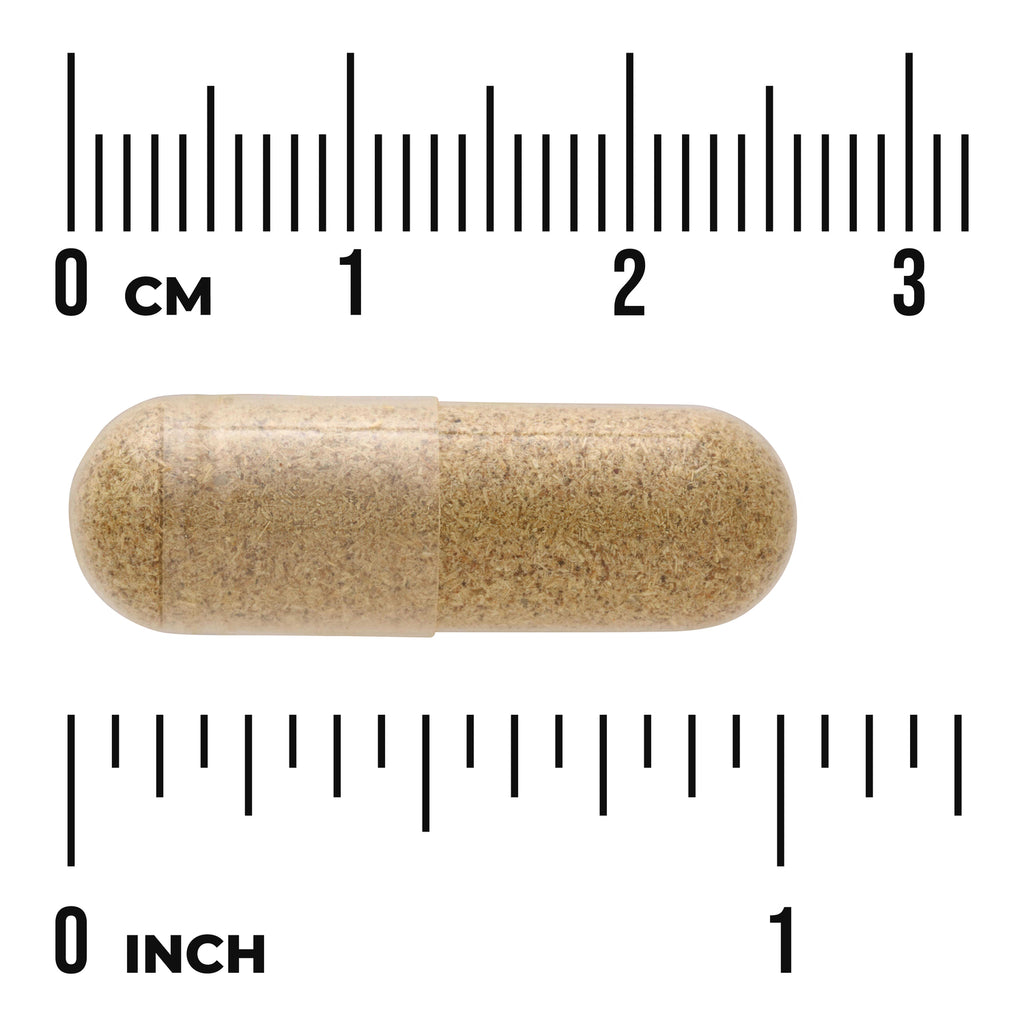 SW1696 | Tan capsule with size reference, rulers labeled 03 cm and 01 inch - Thumbnail