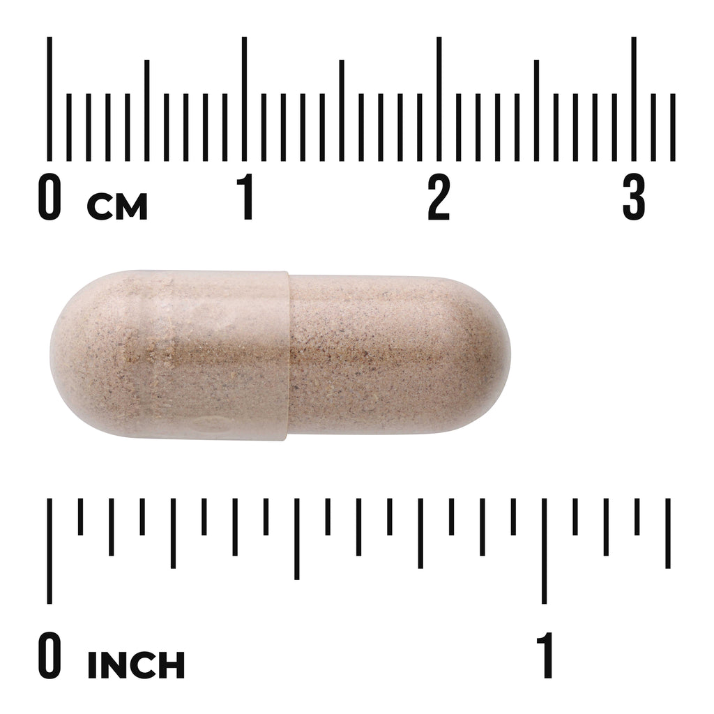 SW1423 | Capsule with cm and inch ruler for size reference - Thumbnail