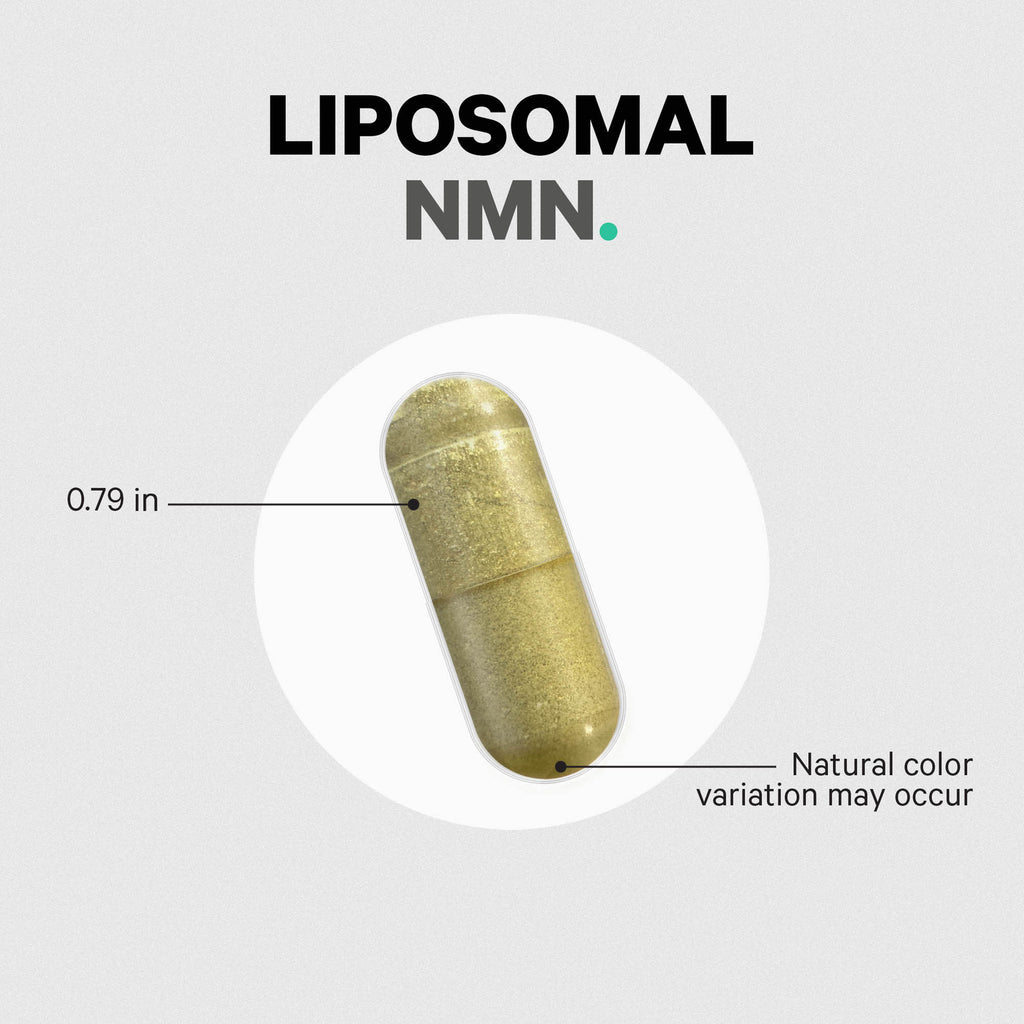 CDG040 | Liposomal NMN capsule with size measurement and note that natural color variation may occur - Thumbnail
