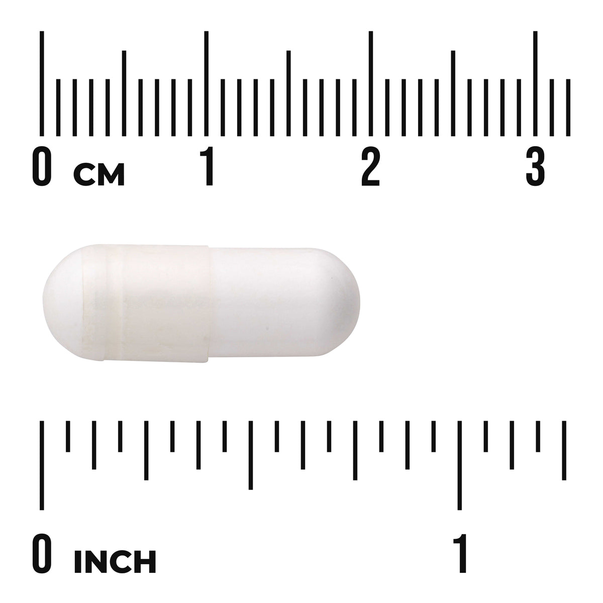 SWU816 | White capsule shown with cm and inch rulers for size reference